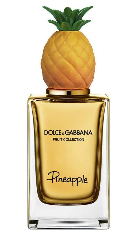 dolce and gabbana perfume|dolce and gabbana unisex fragrance.